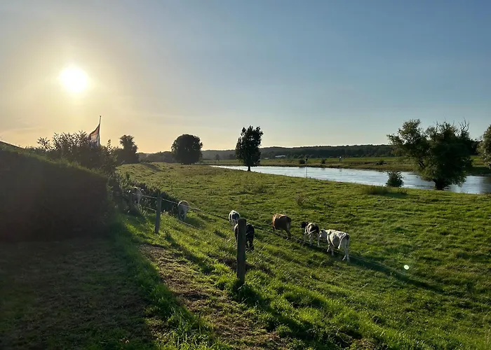 Mikas Mit Flussblick