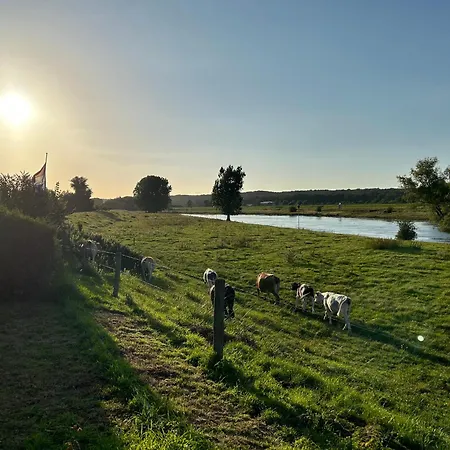 Mikas Mit Flussblick